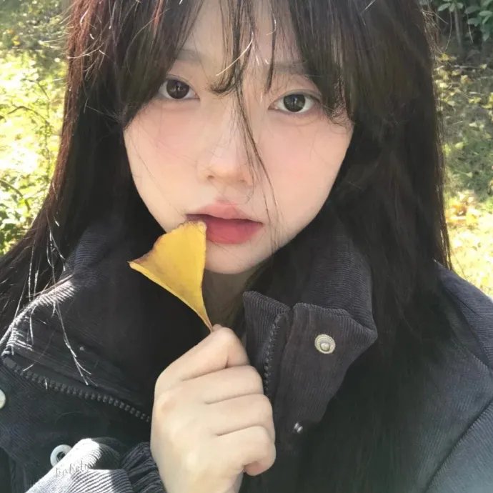 白日梦与她